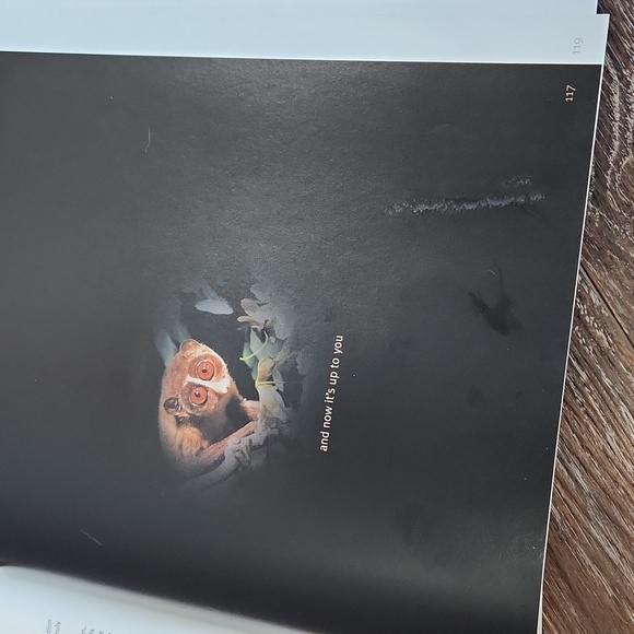 Priceless Vanishing Beauty of a Fragile Planet Book - Picture 14 of 16